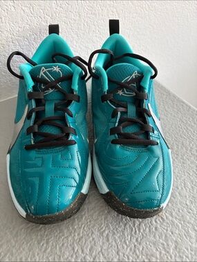 Nike Kids Teal Sneakers with Black Laces Gisannis Anyetokoumpo
